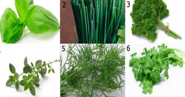 The Herbs You NEED To Heal From Insomnia To Inflammation