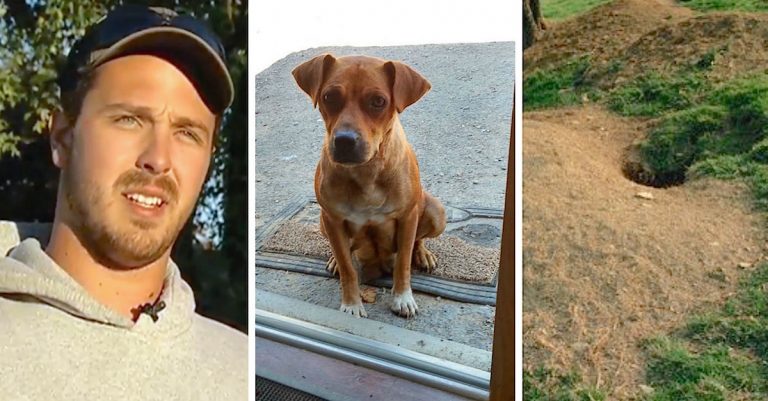 Groom Cooks Bacon In Cabin. A Stray Dog Appears, Leads Bachelor Party To Her Puppies