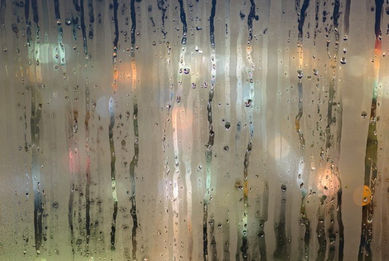 Stop Your Car’s Fogged-Up Windows With The Litter Trick