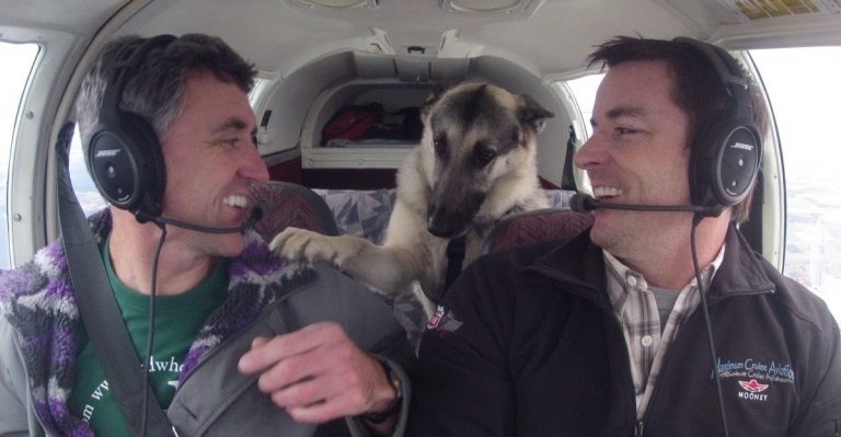 The High-flying Heroes That Are Saving Animals From Kill Shelters