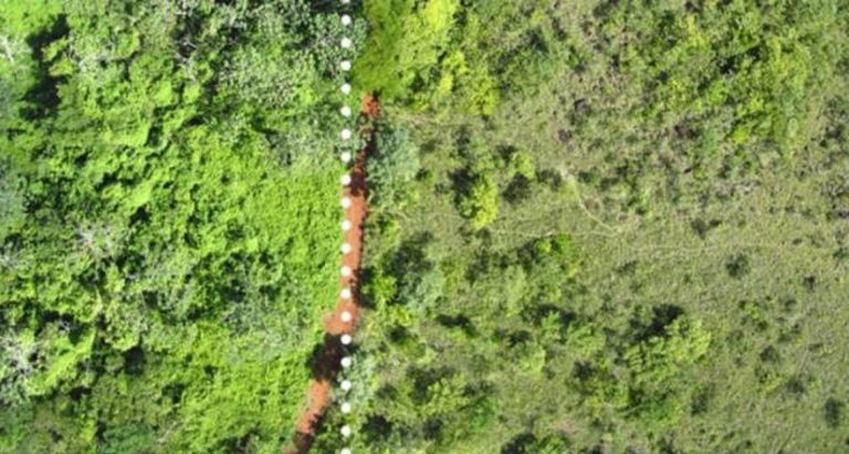 A Juice Company Dumped Orange Peels In A National Park. These Are The Changes That Happened.