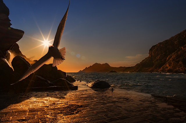 10 Ways Letting Go Quotes Can Help: Life Must Go On